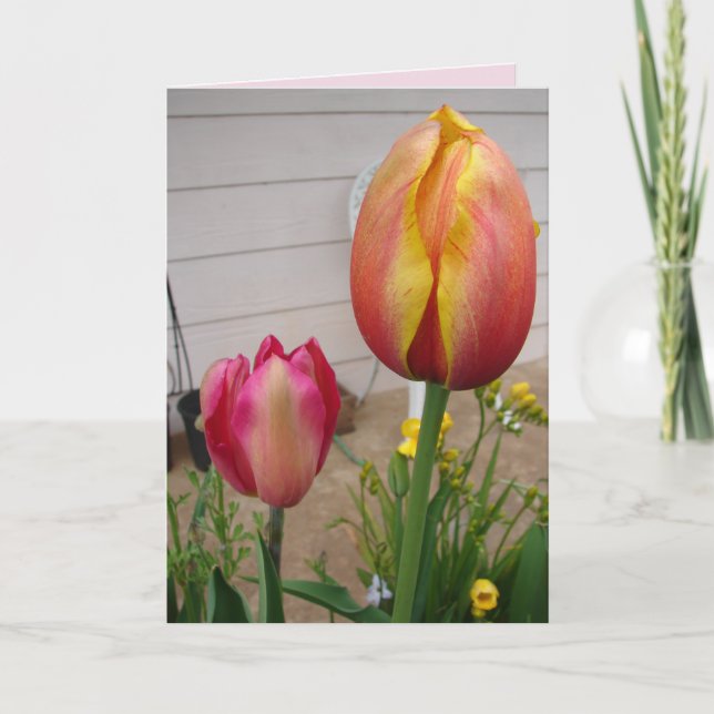 Tulipe Tulipe Fleur rose rouge Carte d'anniversair (Devant)