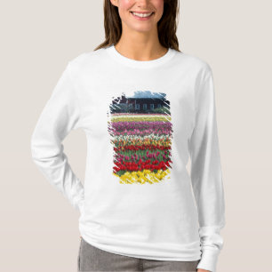 Tulipenschau-Garten, Skagit County, T-Shirt