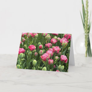 Tulipes à profusion Carte de vœux vierge