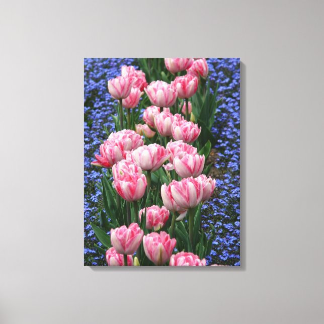 Tulipes Art-Pink En Toile (Recto)
