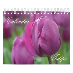 Tulipes Calendrier