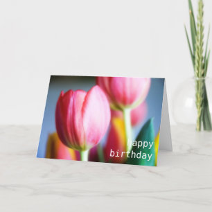Tulipes • Carte de voeux d'anniversaire
