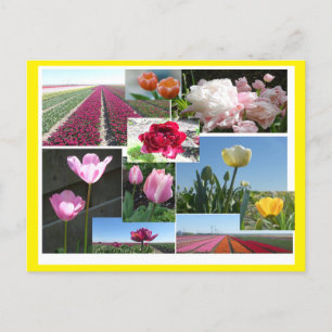 Tulipes Collage do-it-yourself & Poussière. Carte 