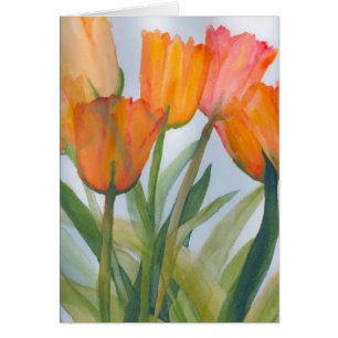 Tulipes d'agrumes orange
