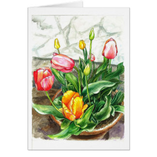 Tulipes dans un pot