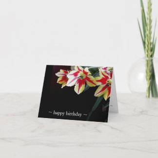 Tulipes de cartes d'anniversaire rouges et jaunes
