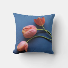 tulipes de corail sur coussin bleu