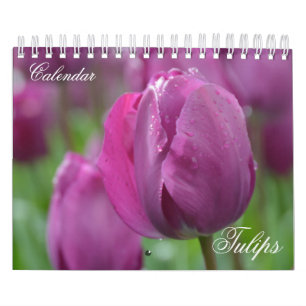 Tulipes du calendrier photo