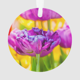 Tulipes Enchantant rose foncé