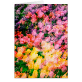 Tulipes et lilas