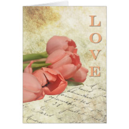 Tulipes et Vieille Lettre