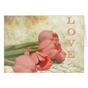 Tulipes et vieilles lettres