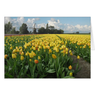 Tulipes jaunes dans un domaine et moulin à vent en