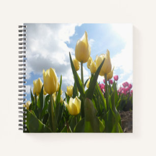 Tulipes jaunes et roses ensoleillées avec Carnet S