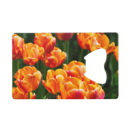 Tulipes orange vif dans le parc