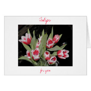 Tulipes pour vous