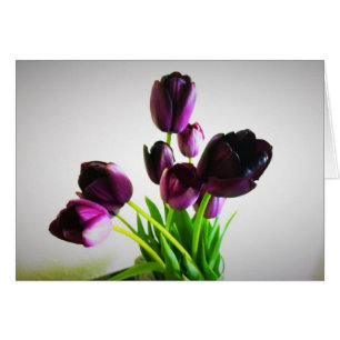 Tulipes pourpres foncées