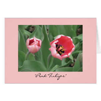"Tulipes roses"
