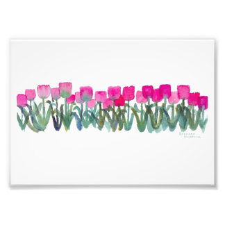 Tulipes roses 7"x 5", Papier photo Kodak Prof (Sat
