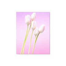 Tulipes roses délicates Impression en toile étirée