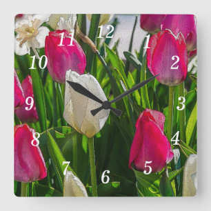 Tulipes Roses Et Blanches Horloge Mural Peinture