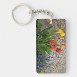 Tulipes Rouges Et Jaunes