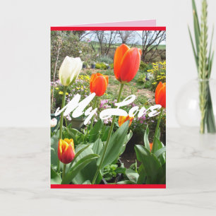 Tulipes rouges Mon amour Fleurs de printemps Carte