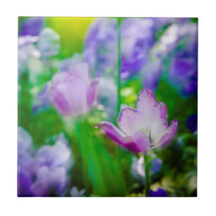 Tulipgarten, Giverny, Frankreich Fliese