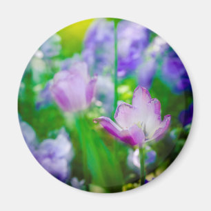 Tulipgarten, Giverny, Frankreich Magnet