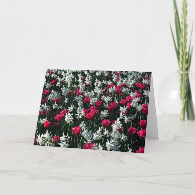Tulips 16 Carte de voeux vierge (Devant)