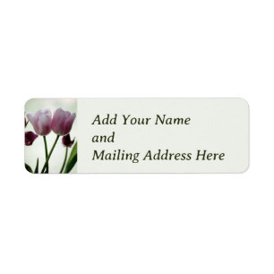 Tulips 3259