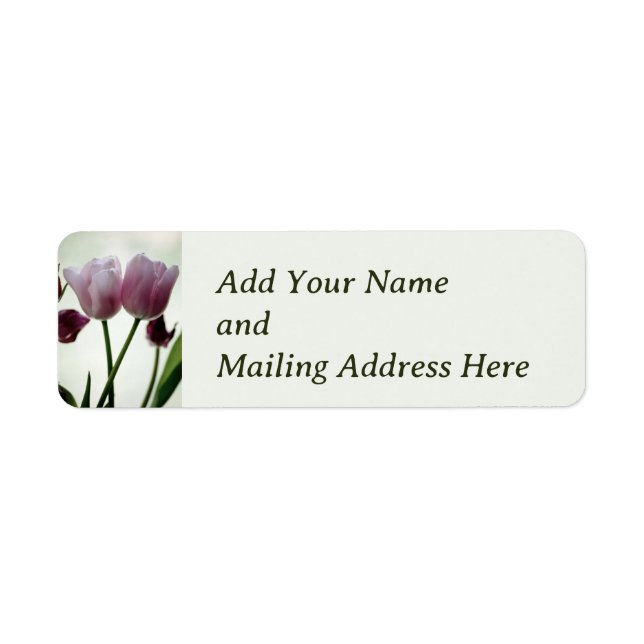 Tulips 3259 (Vorne)