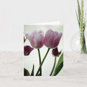 Tulips 3259 karte