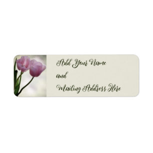 Tulips 3265
