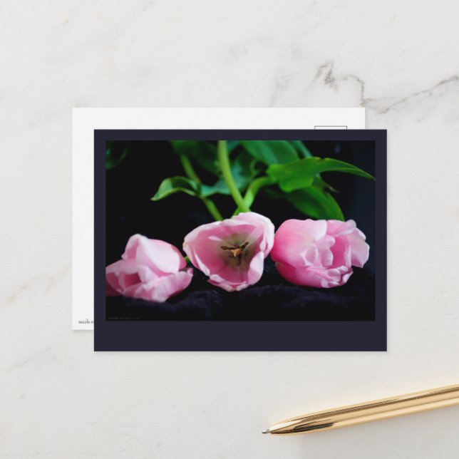 Tulips 3273 postkarte (Vorderseite/Rückseite Beispiel)