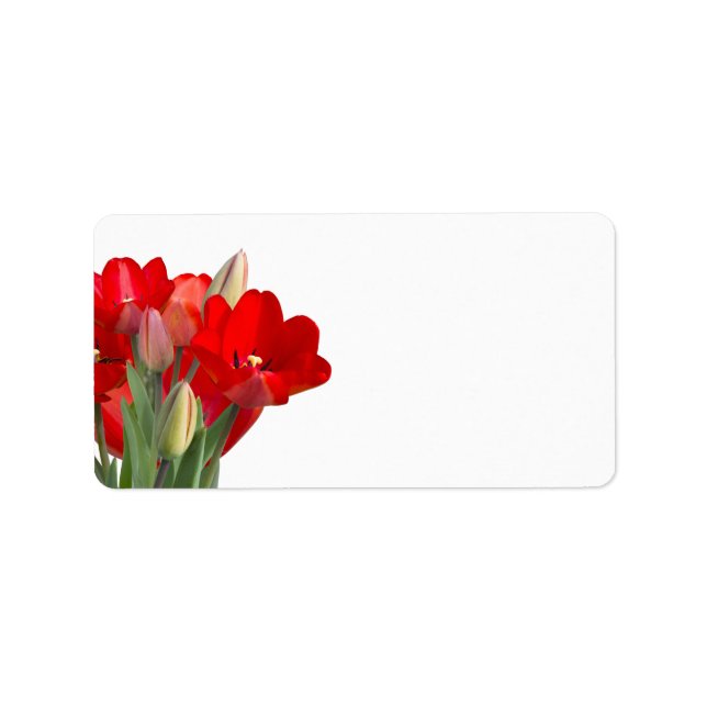 Tulips Adressaufkleber (Vorne)