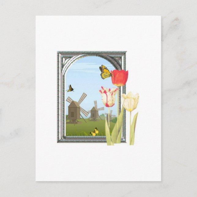Tulips aus Amsterdam Postkarte (Vorderseite)