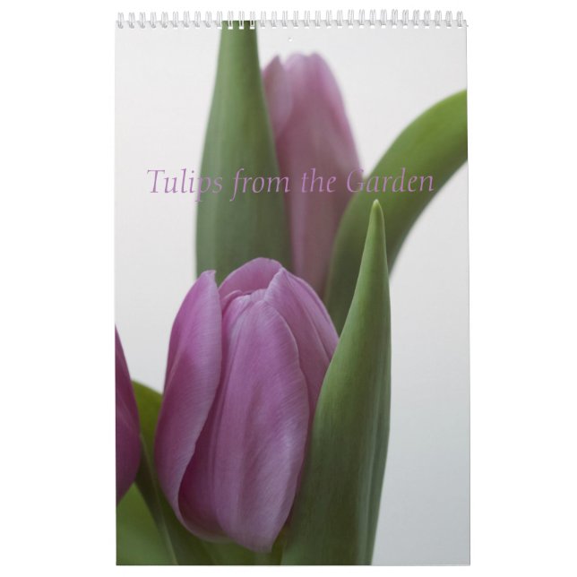 Tulips aus dem Gartenkalender Kalender (Titelbild)