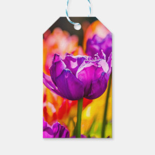 Tulips Bezaubernd Lila Geschenkanhänger