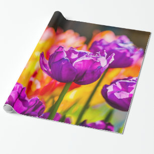 Tulips Bezaubernd Lila Geschenkpapier