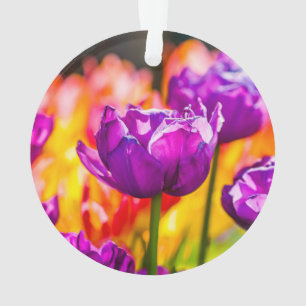 Tulips Bezaubernd Lila Ornament