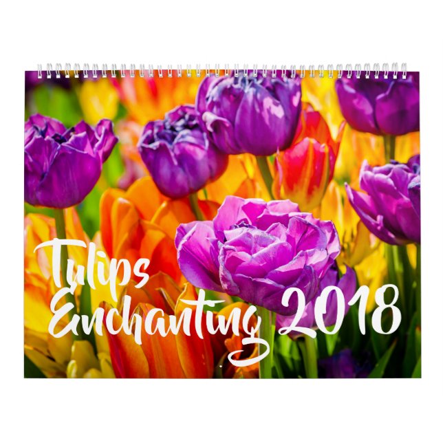 Tulips Bezaubernd schön Kalender (Titelbild)