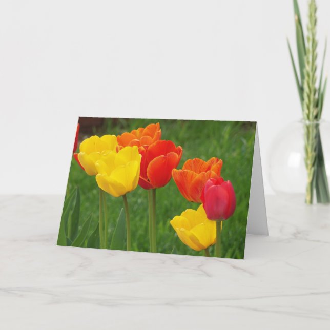 Tulips Brights Karte (Vorderseite)