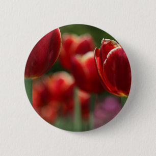 Tulips Button