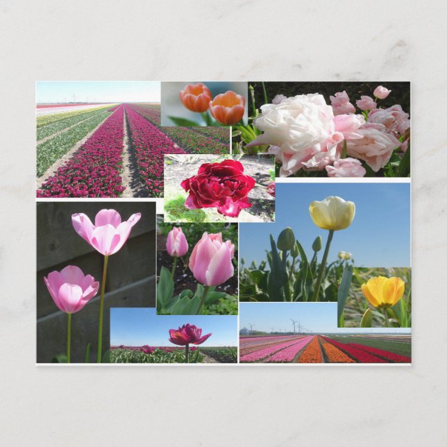 Tulips Collage DIY Postkarte (Vorderseite)