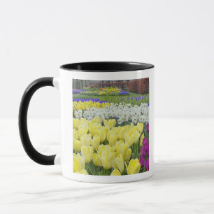 Tulips, Daffodilen und Blume von Traubenzucker, Tasse