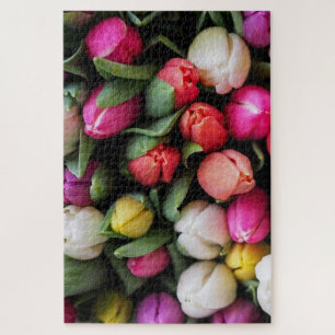 Tulips Farbige Blume Ostern Frühling