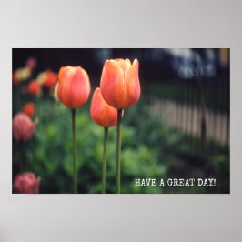 Tulips florale Tulip Garden Frühlingstag Blume Poster