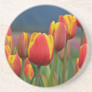 Tulips for Mom Sandstein Untersetzer