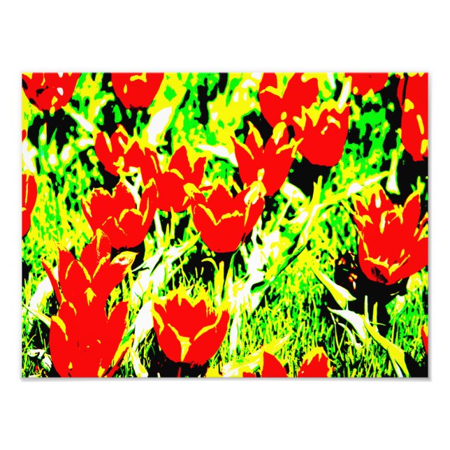 Tulips Fotodruck (Vorne)